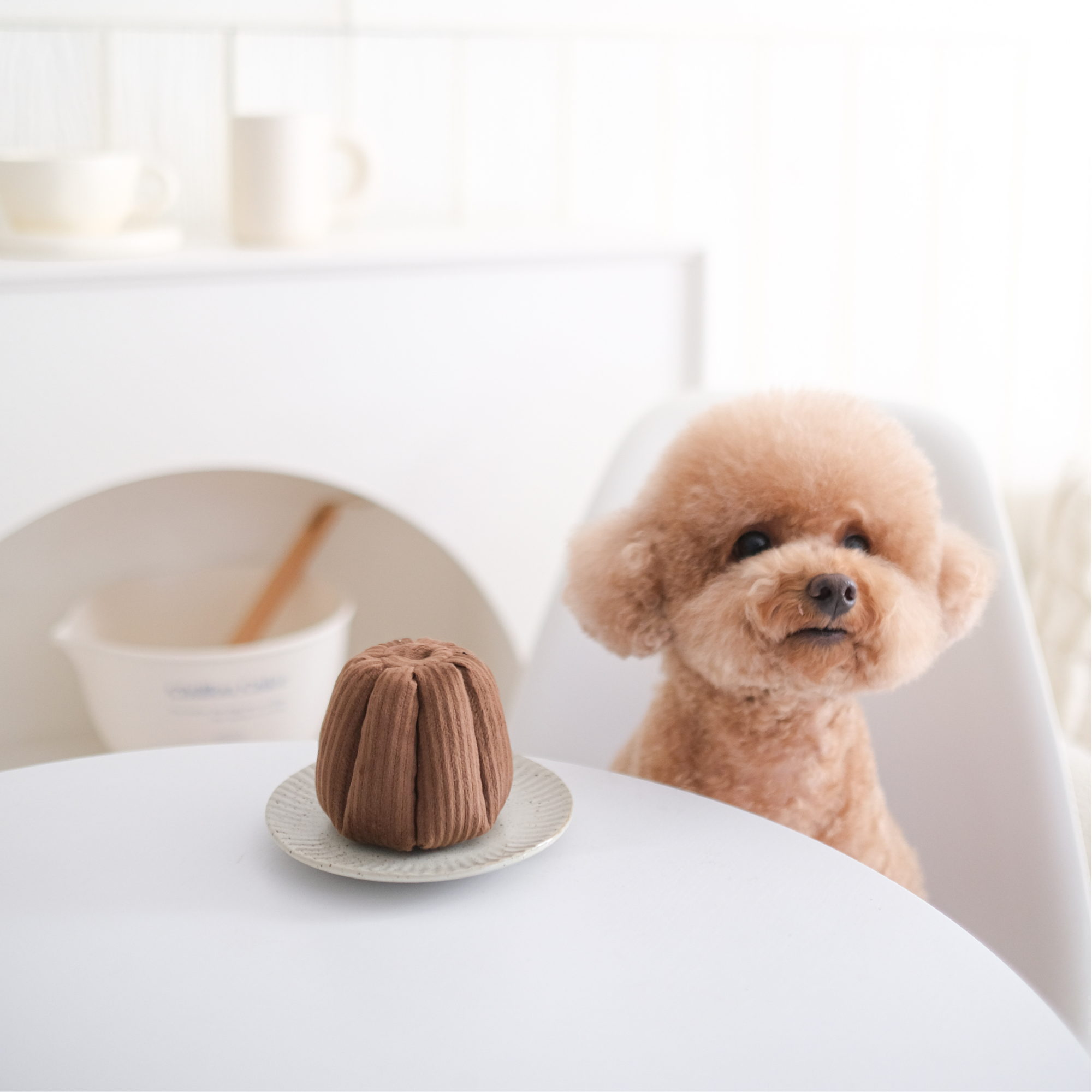 CANELE // ENRICHMENT DOG TOY // Squeaky + Snuffle