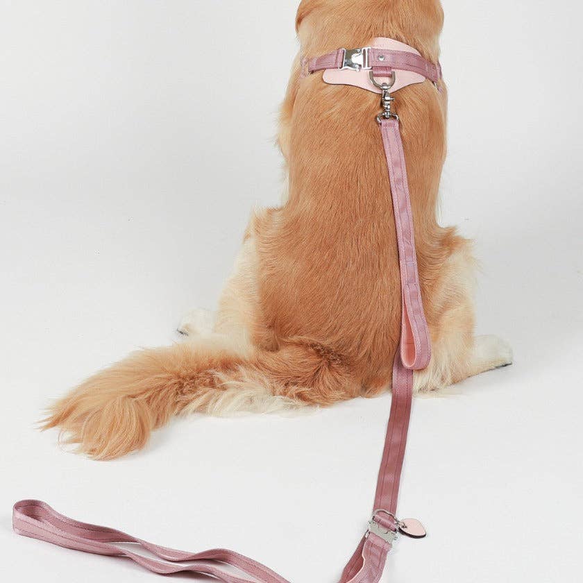 Horsebit Harness