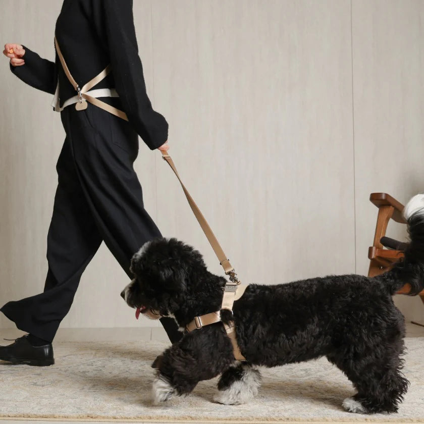 HOZI | Walking Set | Leash Size S