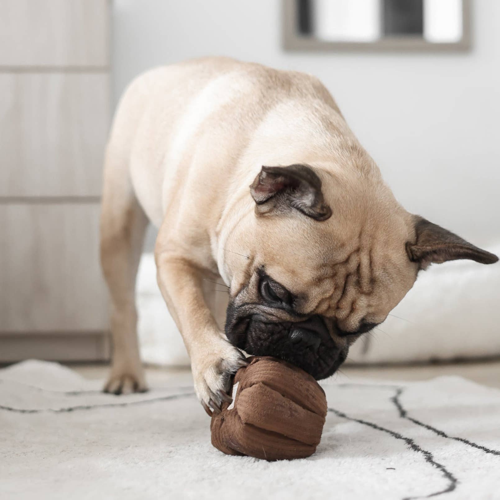 CANELE // ENRICHMENT DOG TOY // Squeaky + Snuffle