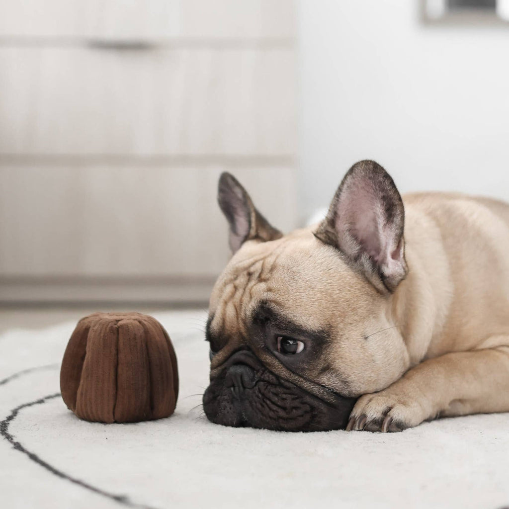 CANELE // ENRICHMENT DOG TOY // Squeaky + Snuffle