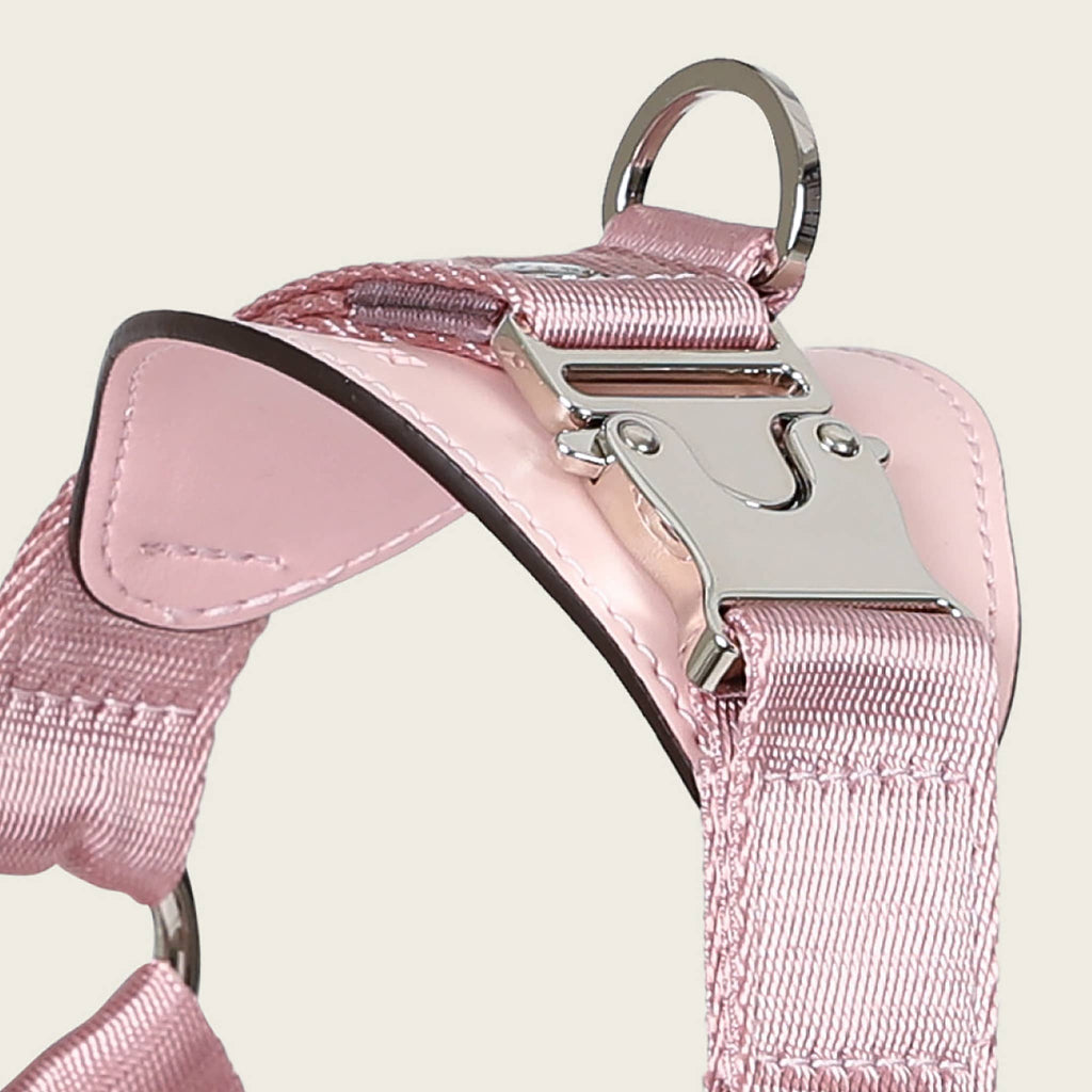 Horsebit Harness