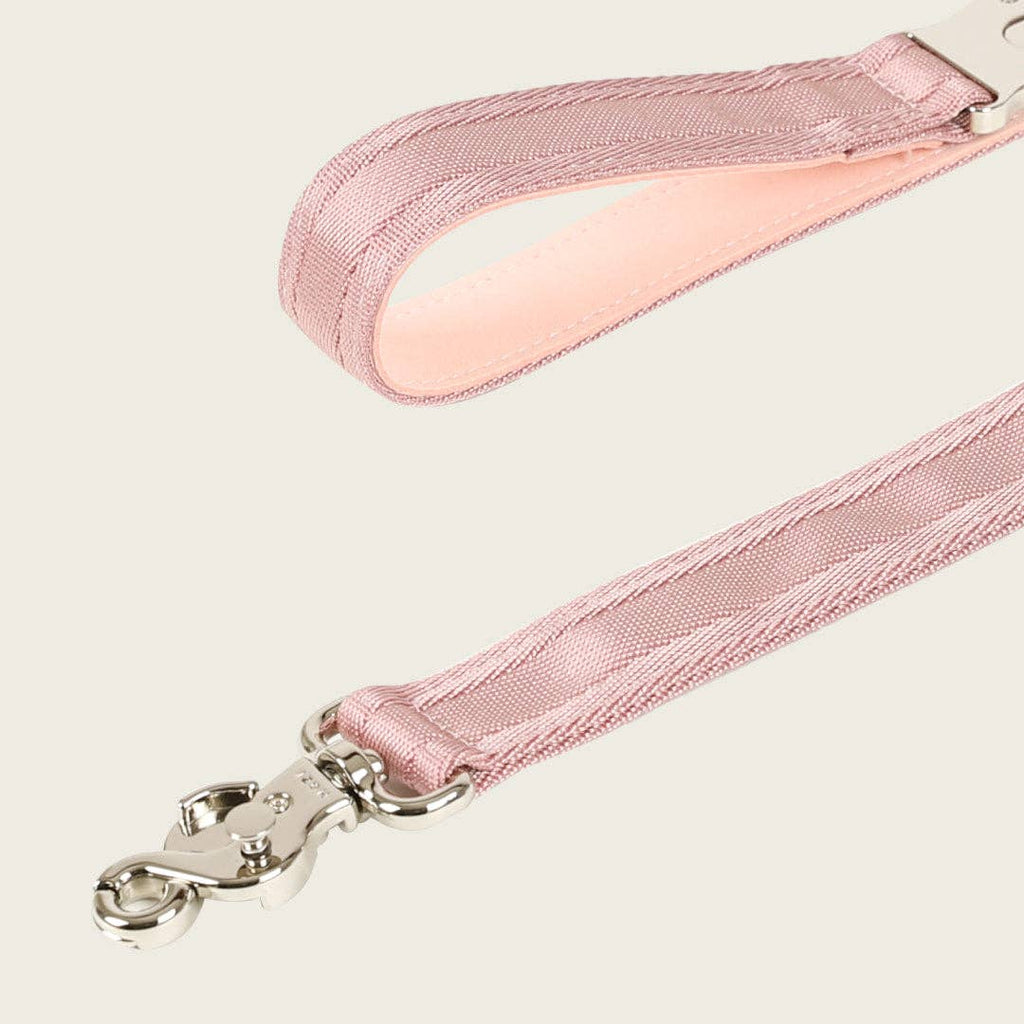 Saddle Hands-free Leash