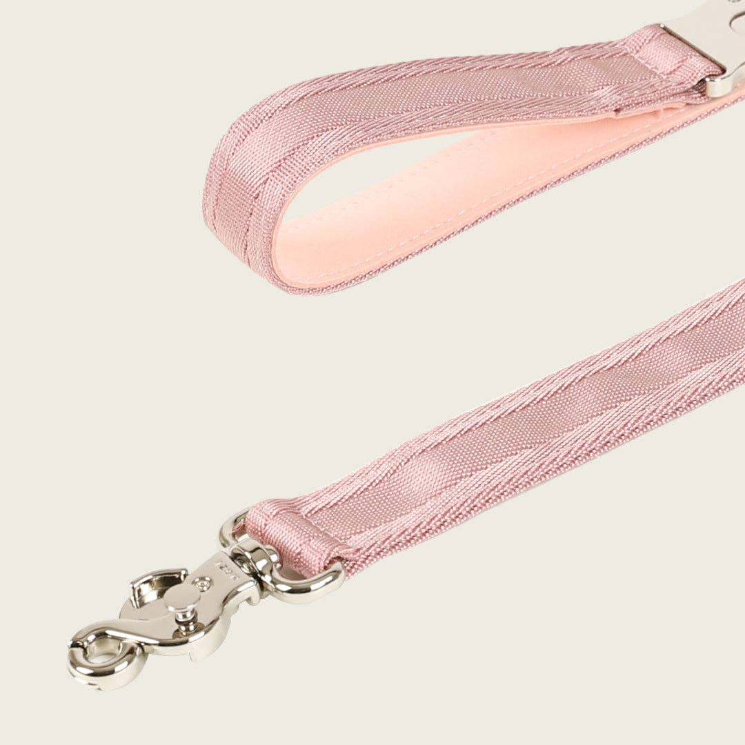 Saddle Hands-free Leash