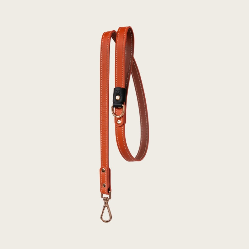 Pumpkin Nocturne | Handcrafted Leather Leash